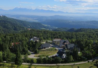 Excursión A pie Škofljica - Želimlje - Kurešček - Photo