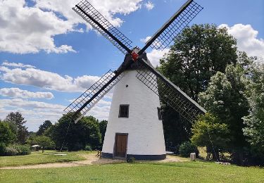 Percorso Marcia Incourt - Promenade du moulin  - Photo