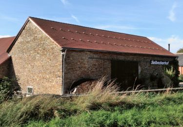 Tour Zu Fuß Unbekannt - Z Kupferdreh-Werden - Photo