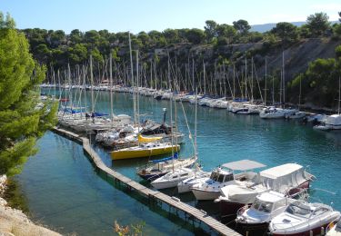 Excursión Senderismo Cassis - XX-Cassis-Les Calanques-Miou-Pin-En Vau - Photo