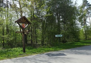 Tocht Te voet Zwoleń - Zwoleń PKS - Garbatka Letnisko ul. Kochanowskiego - Photo