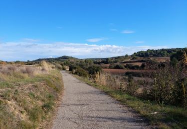 Trail Walking Aumelas - cabrials - Photo