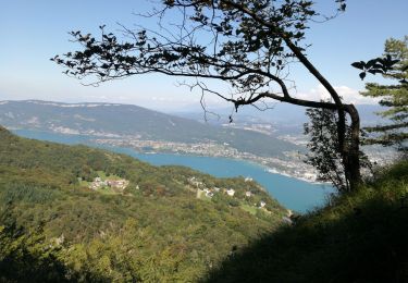 Tocht Stappen La Chapelle-du-Mont-du-Chat - DENT DU CHAT & MOLARD NOIR - Photo
