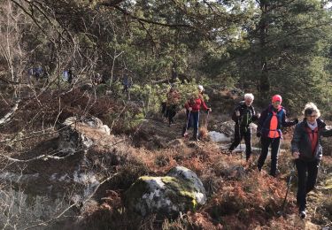 Tour Wandern Fontainebleau - Rocher Canon - Photo