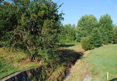 Tocht Te voet Stainz - Georgsberg Rundweg - Photo