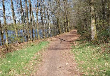 Tocht Stappen Razès - Saint-Pardoux - Tour du Lac - 7,5 km - Photo