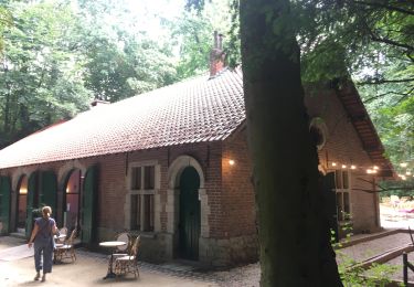 Trail Walking City of Brussels - Bois Cambré et Forest Soignes - Photo