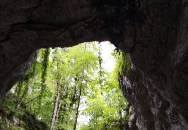 Trail Walking Presles - la Balme Riendre - Photo