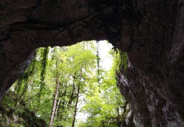 Tour Wandern Presles - la Balme Riendre - Photo