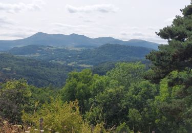 Tour Wandern Saint-Nectaire - PETITE RANDO AUTOUR DU CAMPING DU VIGINET - Photo