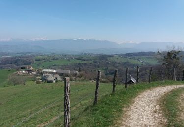 Trail Walking Entrelacs - SAPENAY / CLERGEON: SAPENAY - PRINGY - GRANDE CUVE - ROJUX - LES GRANGES - Photo