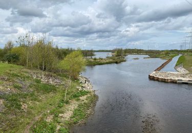 Trail sport Maasgouw - Hompische molen  - Photo