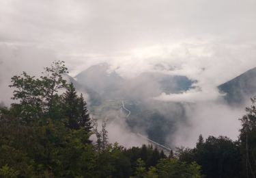 Percorso Marcia Val-d'Arc - coupe sous les mauilles - Photo