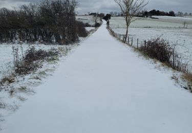 Excursión Senderismo Lavoûte-sur-Loire - l - Photo