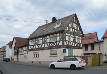 Percorso A piedi Waldsolms - Wanderwege Brandoberndorf - Keiler - Photo