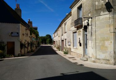 Randonnée Marche Villandry - Villandry - Bec-du-Cher - 7.2km 40m 1h45 - 2017 11 05 - Photo