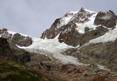 Percorso A piedi Courmayeur - (SI F07) Rifugio Elisabetta - Courmayeur - Photo