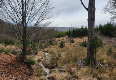 Tour Wandern Sainte-Ode - lavacherie 12/02/2020 - Photo