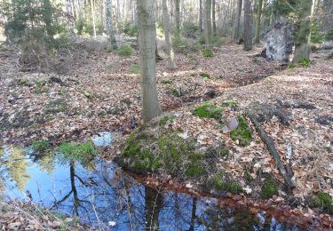 Randonnée A pied Zeulenroda-Triebes - Poellwitzer Rundweg Nord - Photo