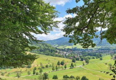 Percorso Marcia Waldkirch - ARCA WALDKIRCH - Photo