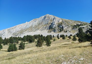 Tour Wandern Saint-Agnan-en-Vercors - grand veymont par pre rateau - Photo