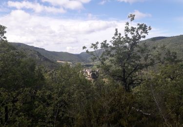 Excursión A pie Nant - CANTOBRE vers causse NOIR - Photo