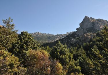 Randonnée A pied Manzanares el Real - [RV 21] Circular Collado Cabrón - Photo