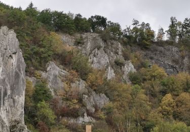 Tour Wandern Dinant - Furfooz Lzsse - Photo