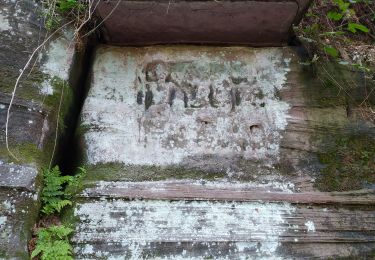 Tour Wandern Roppweiler - altschlossfelsen - Photo