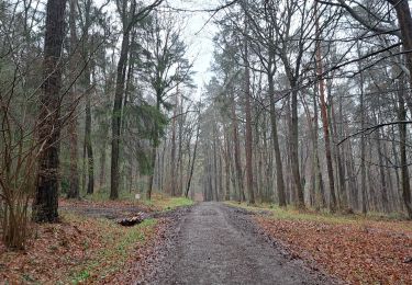 Percorso Marcia Nandrin - Marche ADEPS Villers-le-Temple - Photo