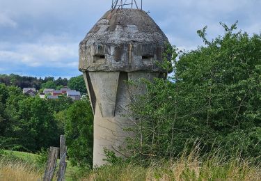 Trail Walking Blegny - 2023-07-28_14h00m33_1702.gpx.xml - Photo