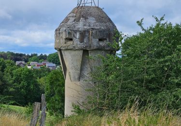 Tocht Stappen Blegny - 2023-07-28_14h00m33_1702.gpx.xml - Photo