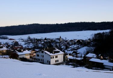 Tour Zu Fuß Orvin - Orvin - Ried - Photo