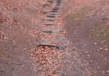 Tour Wandern  - Rebild Bakker  - Photo