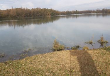 Randonnée Marche Priay -  11 11 2019 lac de PRIAY - Photo