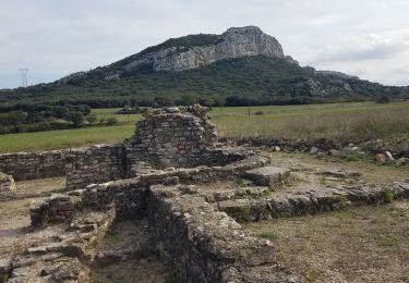 Randonnée Marche Eyguières - Eyguières - Vallon des Glauges - vestiges - Photo