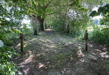 Tocht Stappen Frameries - SARS les Bruyère 17 km - Photo