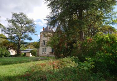 Tour Wandern Saint-Georges-sur-Cher - Chissay - Chissaux - 2015 04 25 - Photo