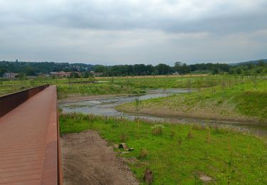 Tour Wandern Amay - rivière artificielle écluse ampsin neuville - Photo