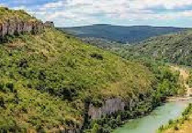 Excursión Senderismo Blauzac - De la Moustarde à la Baume de Saint-Vérédème par les Gorges du Gardon - Photo