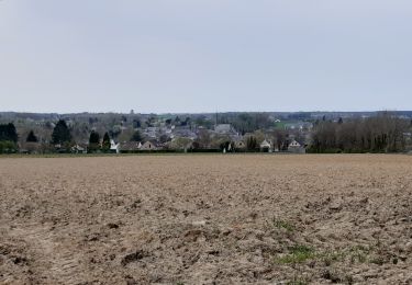 Tour Zu Fuß Gerpinnes - La forêt du Tournibus - Photo