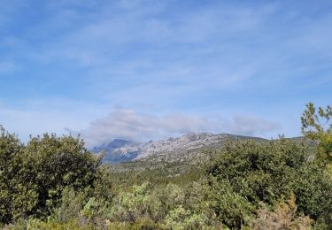 Tocht Stappen Puyloubier - Puyloubier le musée de la légion  - Photo