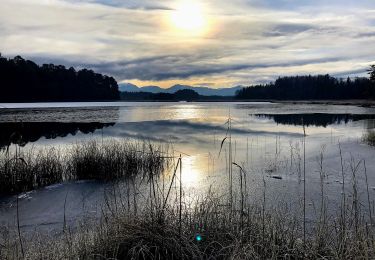 Percorso A piedi Iffeldorf - Kleiner Lauterbacher Waldweg 22 - Photo