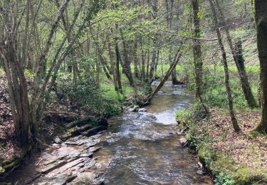 Tocht Stappen Gramond - Gramond  - Photo