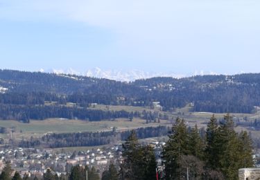 Excursión Senderismo Les Planchettes - boucle Pouillerel  - Photo