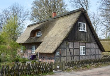 Tour Zu Fuß Bispingen - Rundwanderweg Wilsede W1 - Photo