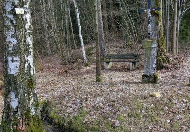 Tocht Te voet Pegnitz - Trockau Rundwanderweg Nr. 2 - Photo