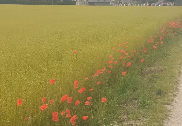 Tocht Stappen Rocquefort - Rocquefort - Photo