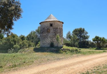 Tocht Stappen Parignargues - Parignargues_stmamert-Fons-Gajan - Photo