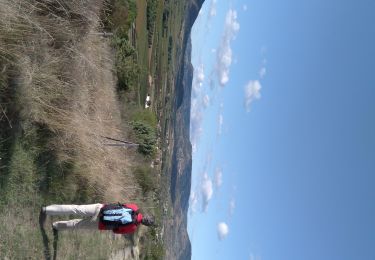 Trail On foot Alba-la-Romaine - Alba la Romaine - Photo
